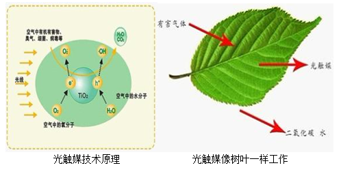 懷化市澤源俊鵬環(huán)保科技有限責(zé)任公司,懷化室內(nèi)空氣污染檢測(cè),懷化空氣污染治理,室內(nèi)環(huán)境凈化,空氣治理公司,俊鵬環(huán)保